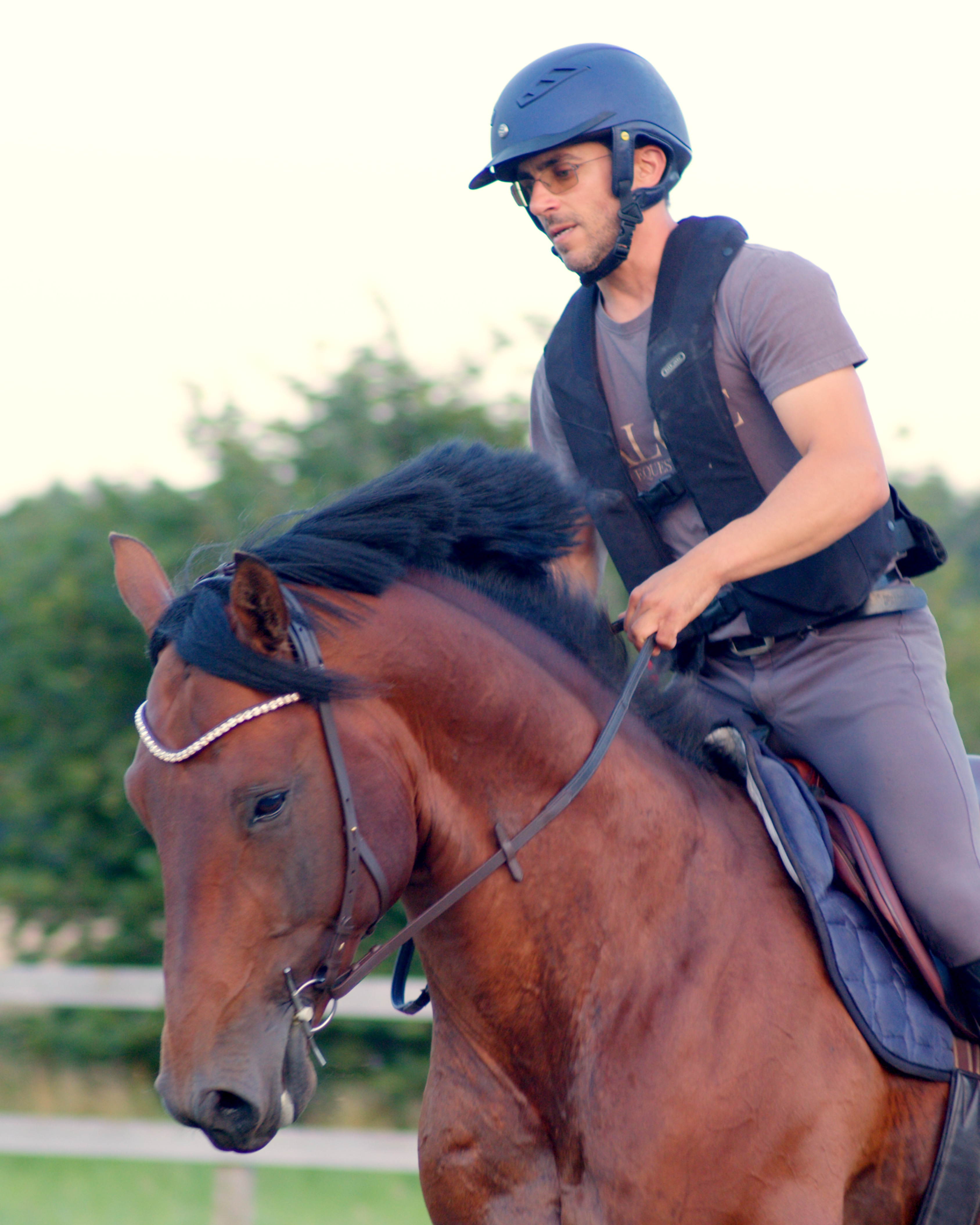 REINS