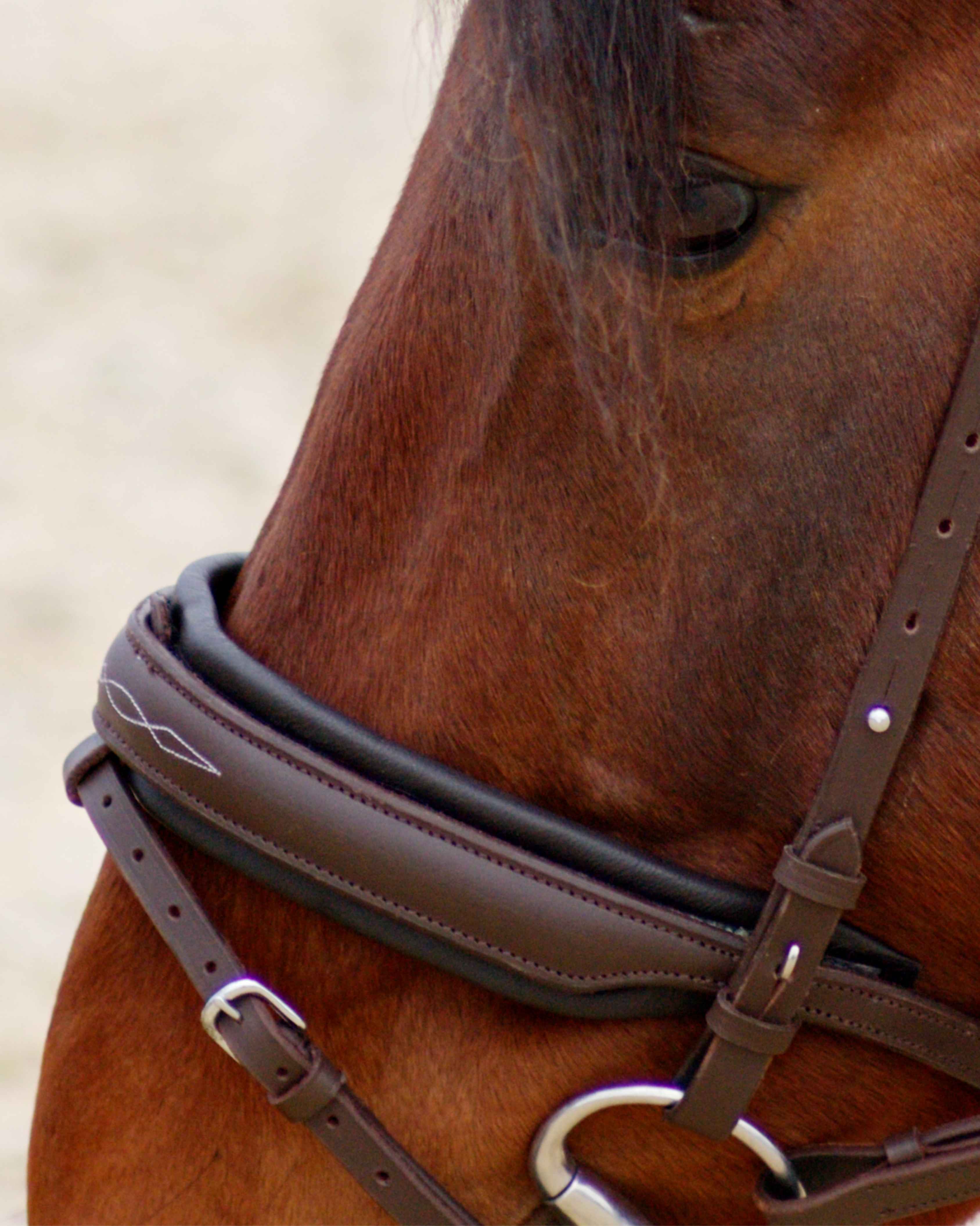 Eos Bridle · Brown  · Noseband with stitches · Silver hardware