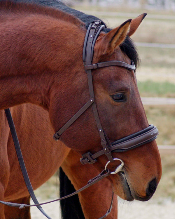 Eos Bridle · Brown  · Noseband with stitches · Silver hardware