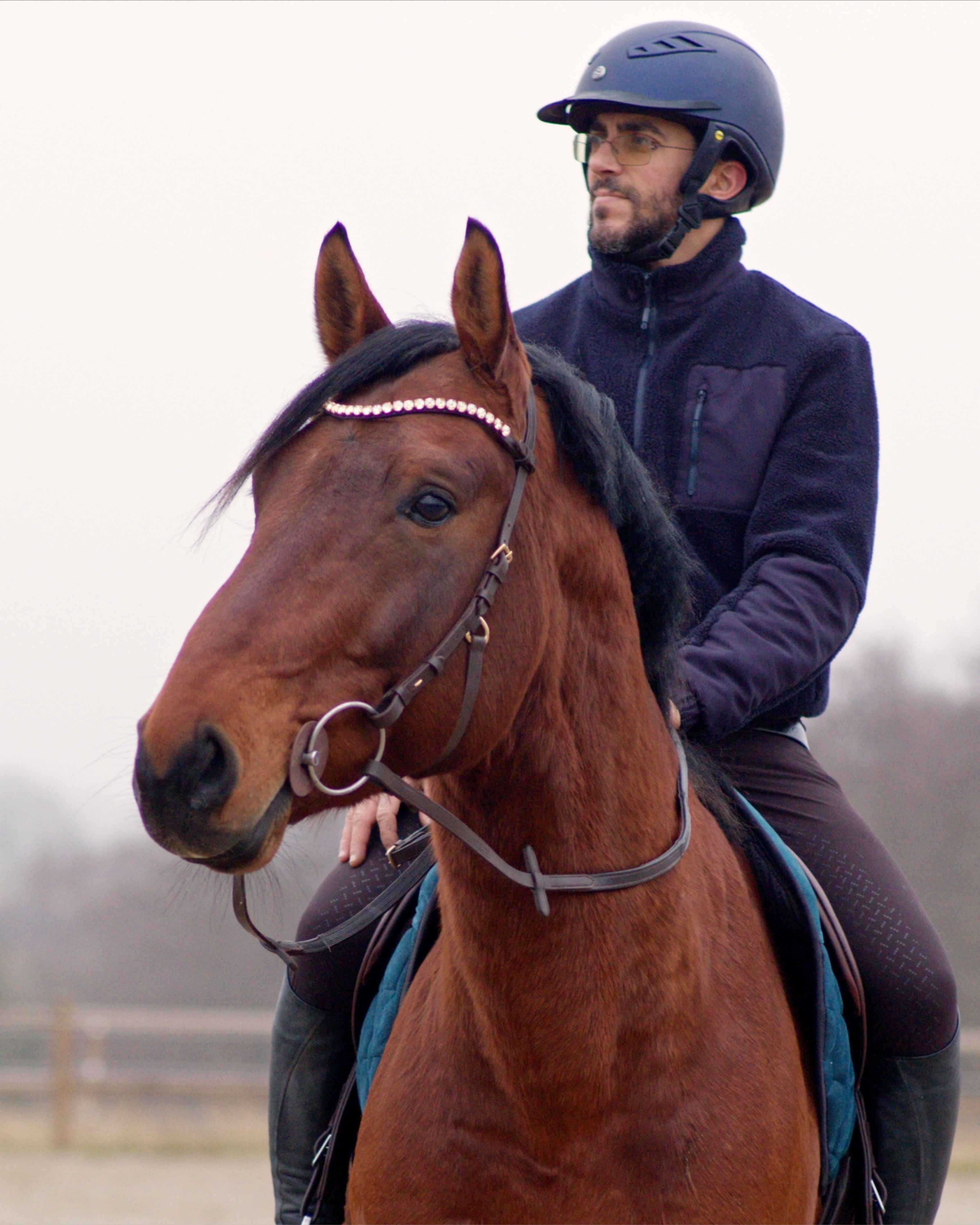 Zenith Freedom Bridle · Brown · Brass Hardware
