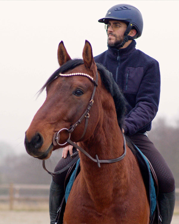 Zenith Freedom Bridle · Brown · Brass Hardware