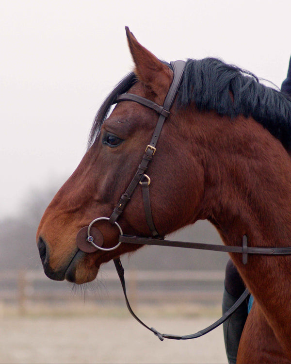 Zenith Freedom Bridle · Brown · Brass Hardware