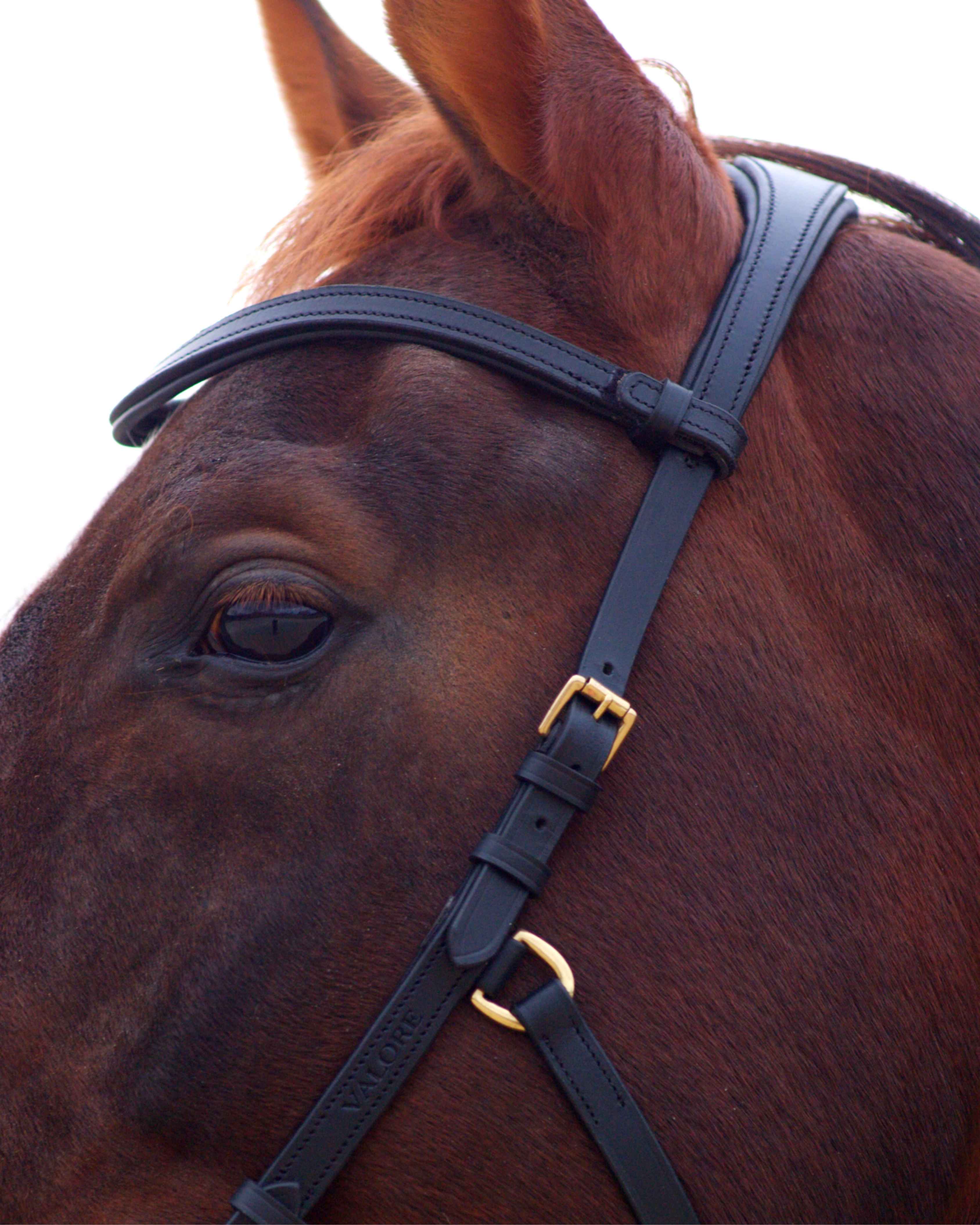 Zenith Freedom Bridle · Black · Brass Hardware