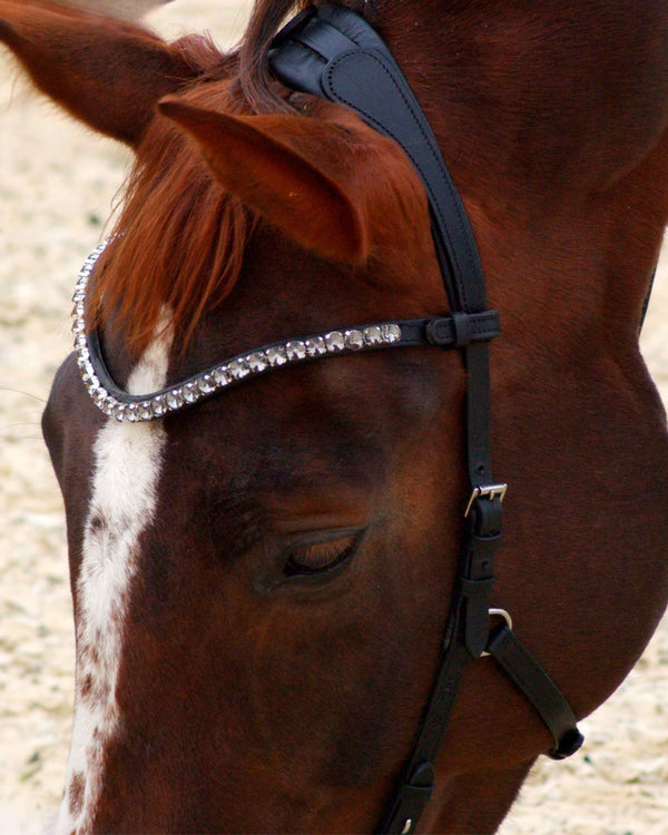 Zenith Freedom Bridle · Black · Silver Hardware