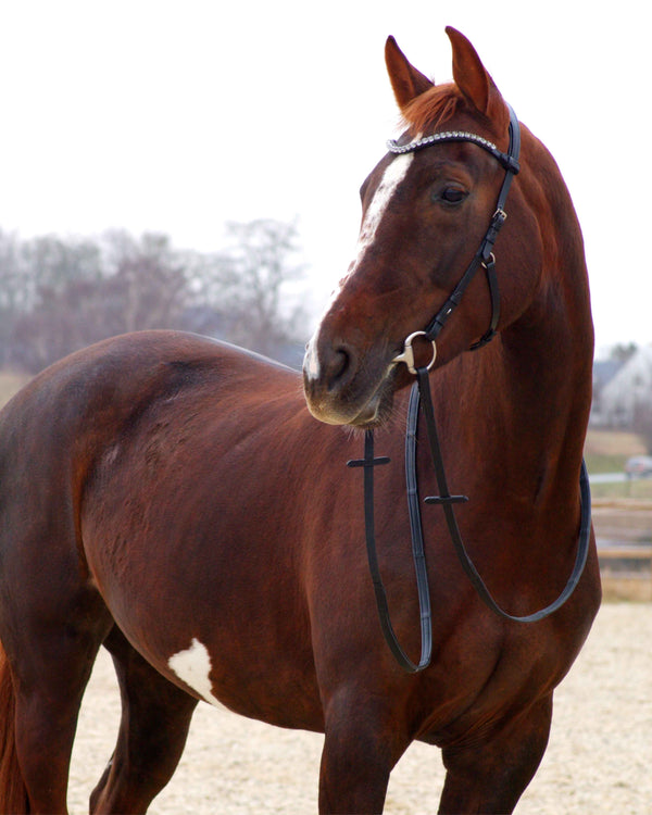 Zenith Freedom Bridle · Black · Silver Hardware