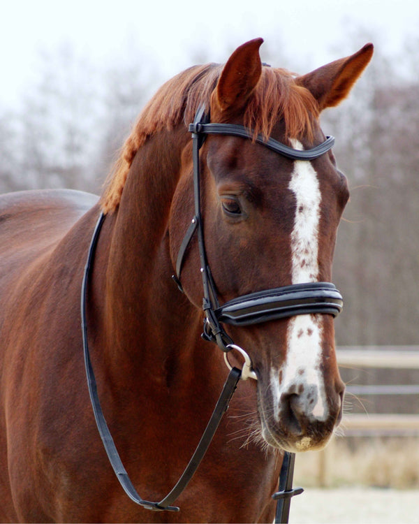 Eos Modular Bridle · Black · Noseband with patent leather ·Silver Hardware