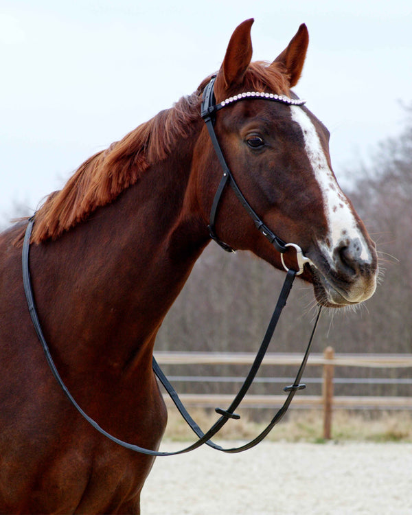 Eos Modular Bridle · Black · Noseband with patent leather ·Silver Hardware