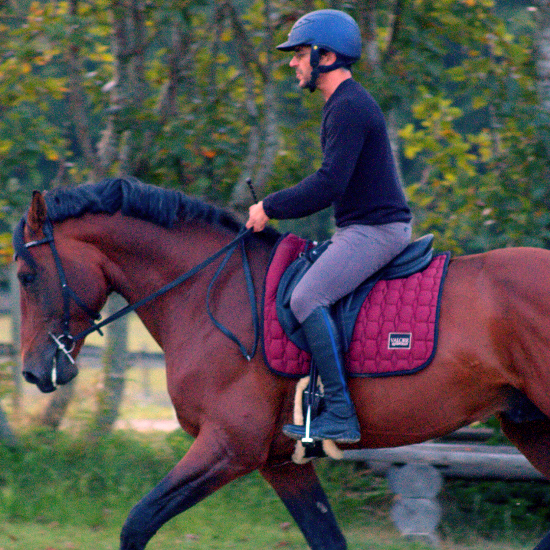 Valore Eos anatomical modular bridle, no pressure on tjm joint, burgundy Valore wither freedom saddle pad