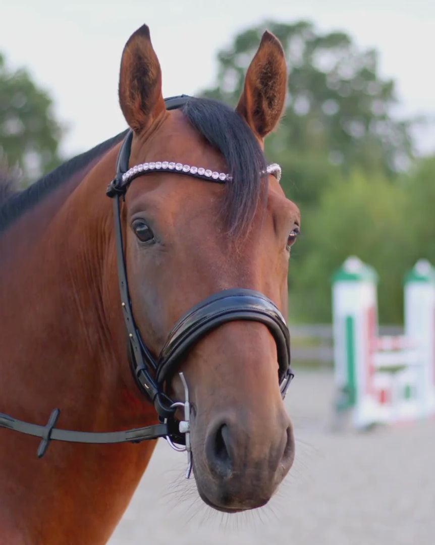 Eos Modular Bridle · Black