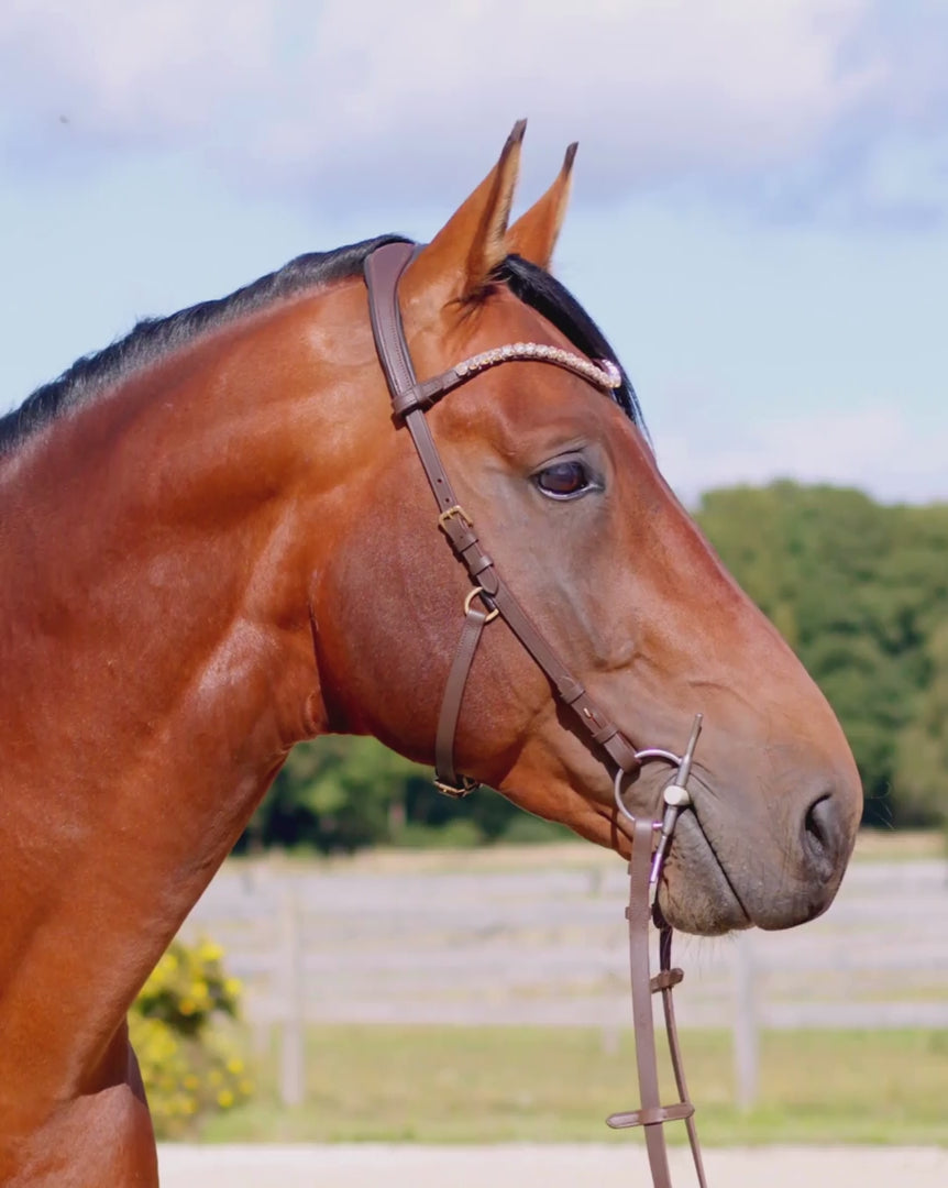 Zenith Freedom Bridle · Brown